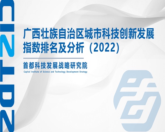 人日逼视频【成果发布】广西壮族自治区城市科技创新发展指数排名及分析（2022）